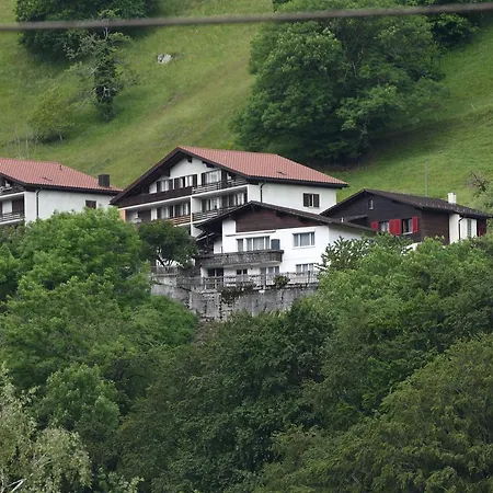 Modern In Near Forest Mastrils