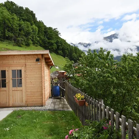 Modern In Near Forest *